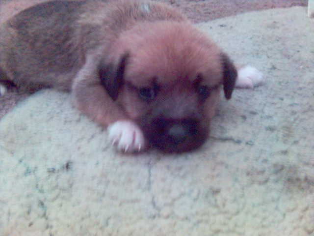 ΕΝΑ ΑΠΟ ΤΑ ΜΩΡΑ 1ης ΓΕΝΝΑΣ