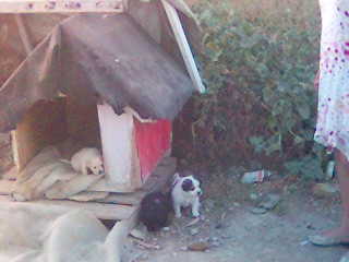 ΟΛΑ ΜΑΖΙ ΤΡΕΛΗ ΠΑΡΕΑ