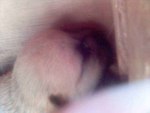 ΙΟΘΕΤΗΘΗΚΕ ΑΠΟ ΤΟΝ ΠΡΩΤΟ ΜΗΝΑ