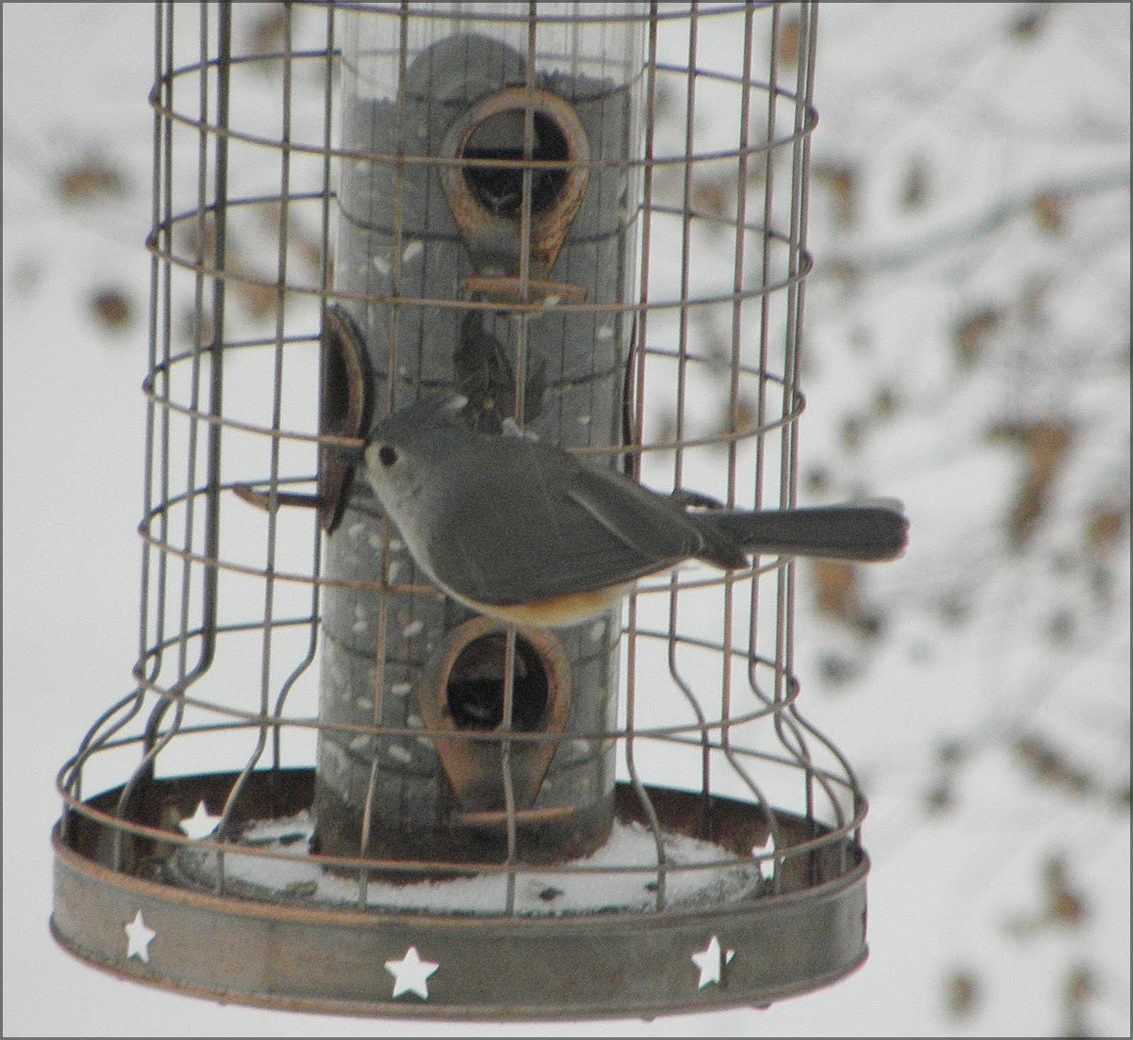 [2009_12_08+123.jpg]