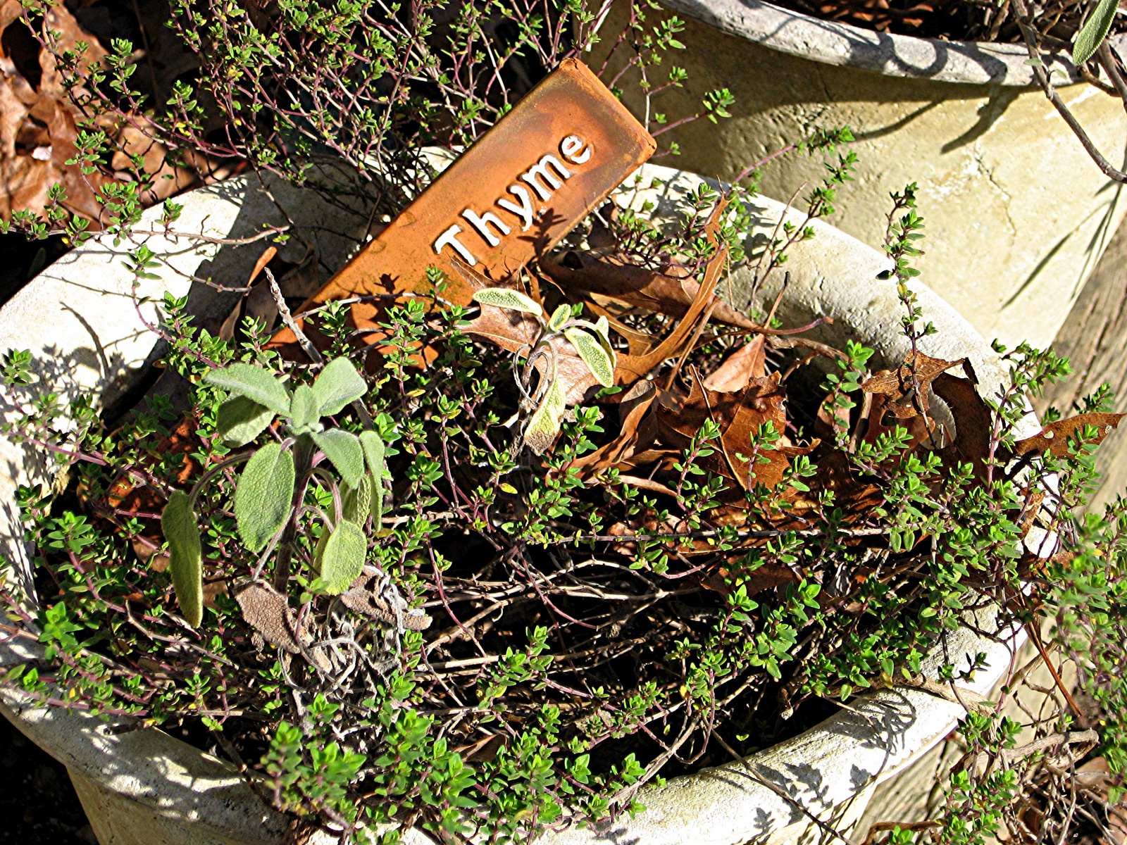 [Copy+of+IMG_6535.JPG]