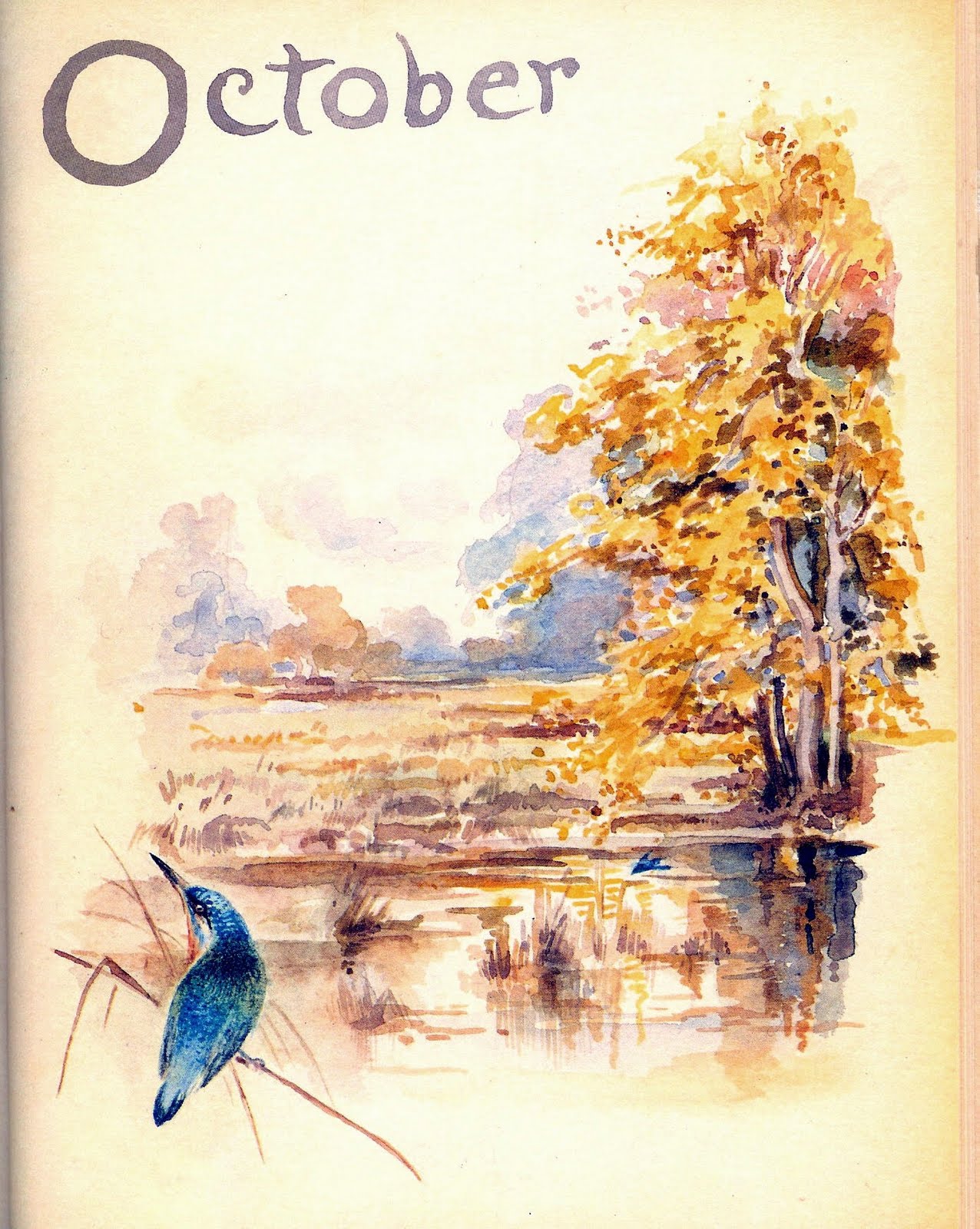 [Autumn+2007+007.jpg]