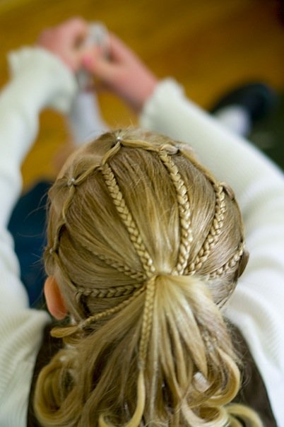 [SectionBraids.jpg]