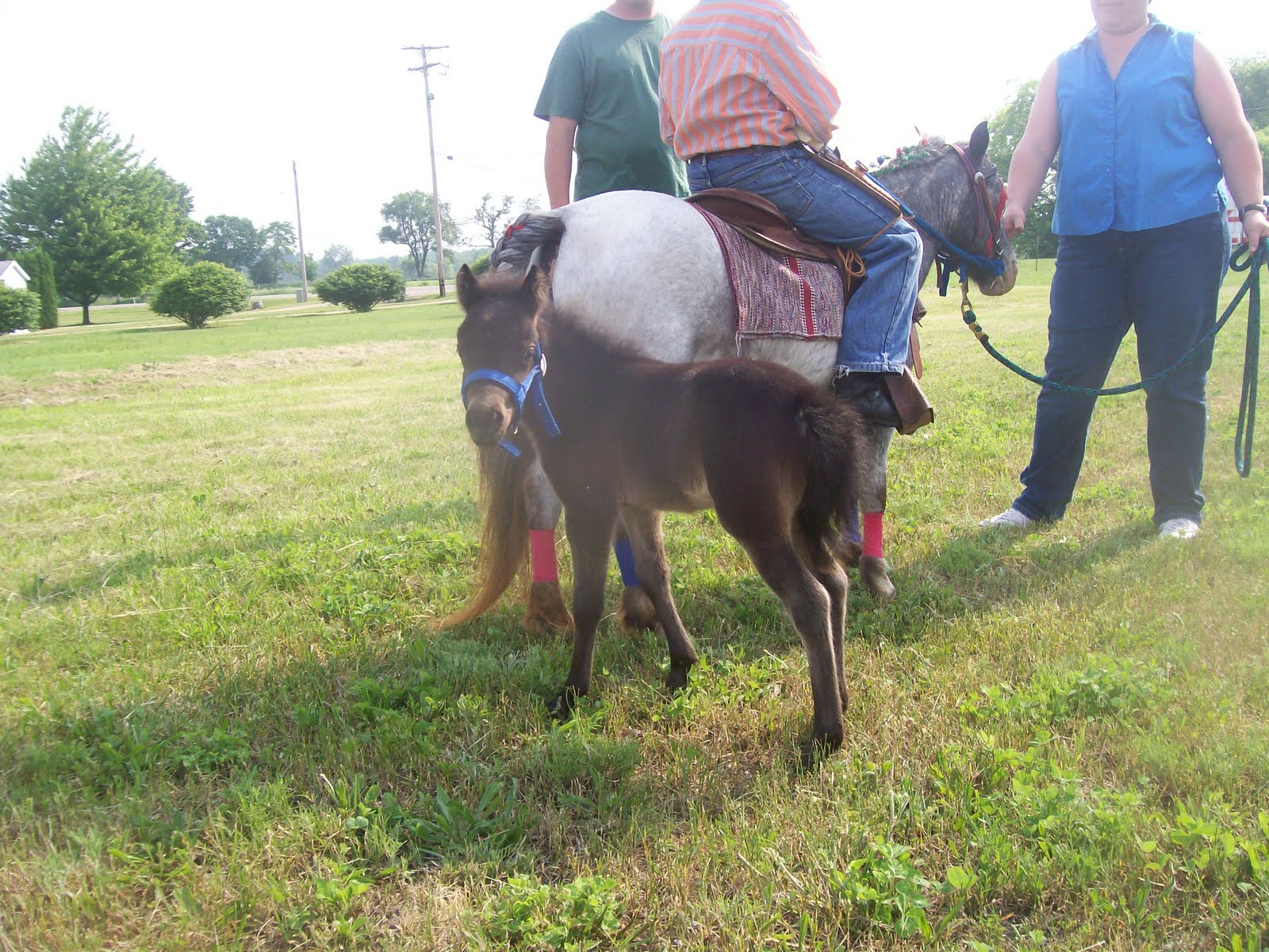 HOOVER FARMS & THE HOOVER FAMILY: May 2010