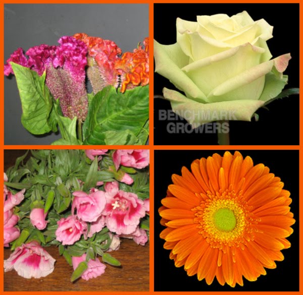 May Flowers for Rebecca in Orange Pink and Green Sacramento and Lake 