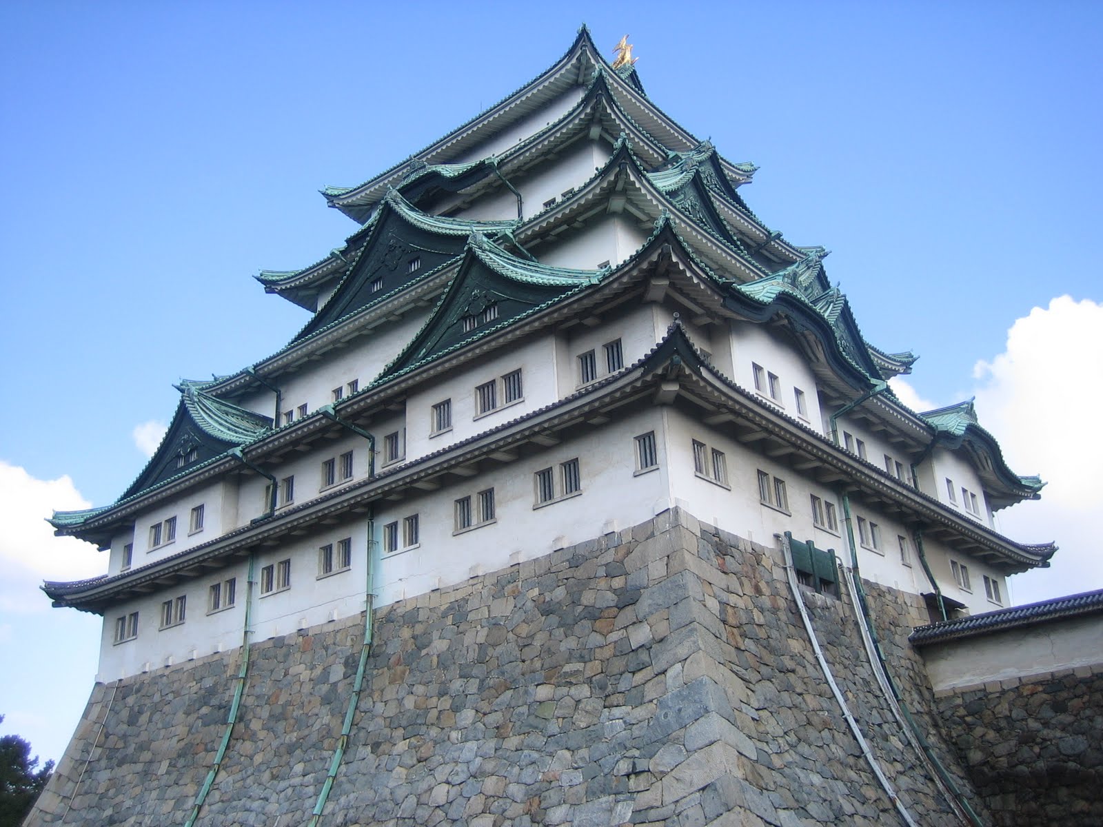[IMG_9322.JPG]