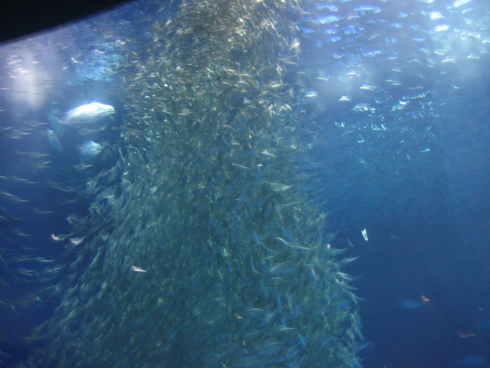 [IMG_9638.JPG]