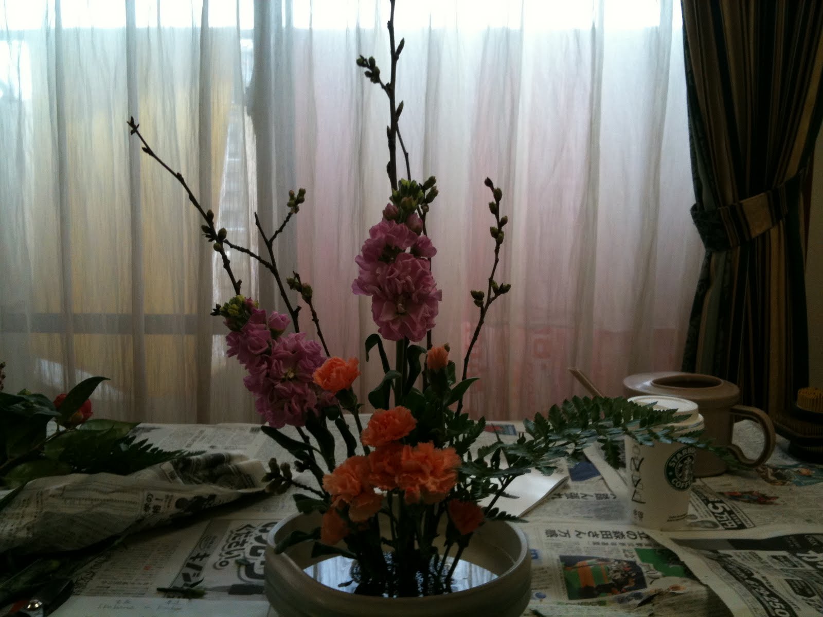 [IMG_0027.JPG]