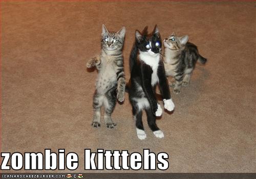 [funny-pictures-these-cats-are-zombies.jpg]