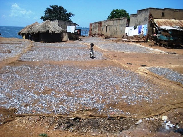 The Barlows in Uganda Kamuli