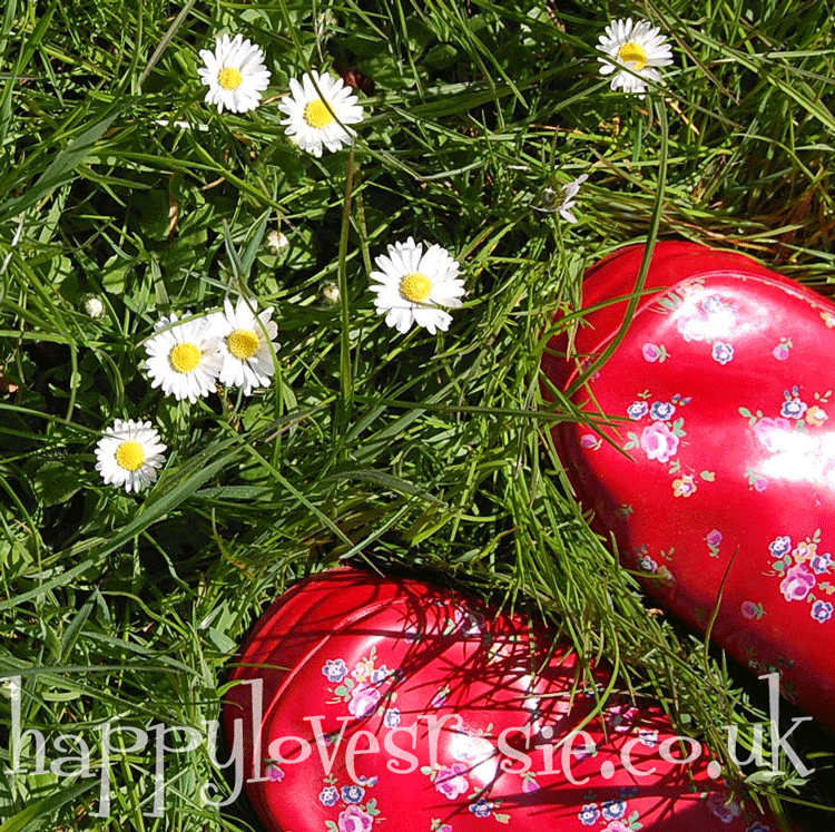 Do you like my new Cath Kidston Shoes ?