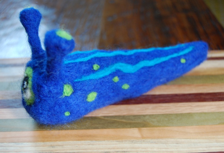 blue sea slug pet. I made this sea slug last