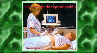 external image LFDR.png