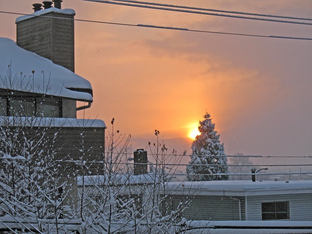 [my+pad-sunrise+after+snow.jpg]