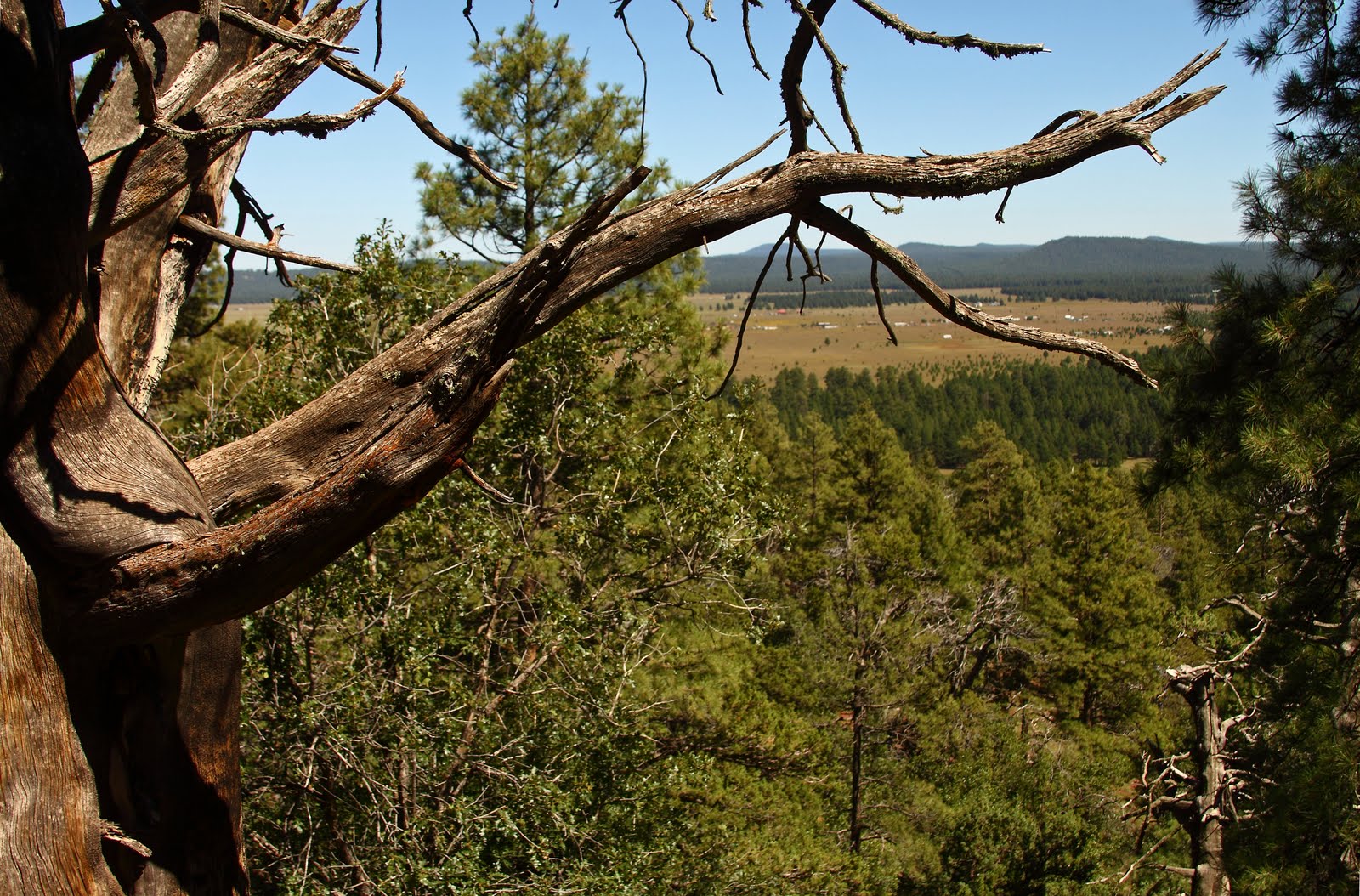 Around the Bend Friends ® Flagstaff Excursion 9/8/10 thru 9/12/10
