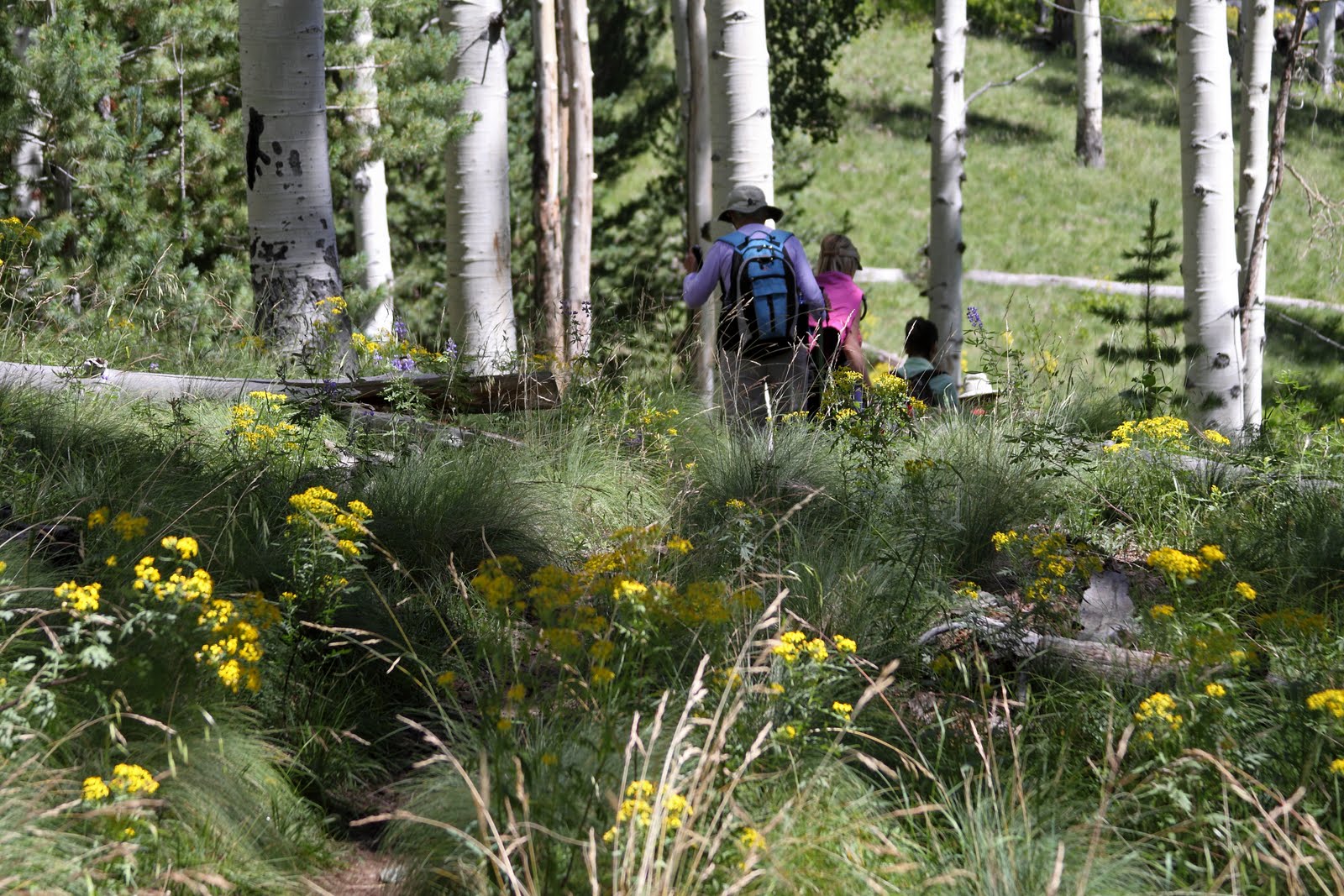 Around the Bend Friends ® Flagstaff Excursion 9/8/10 thru 9/12/10
