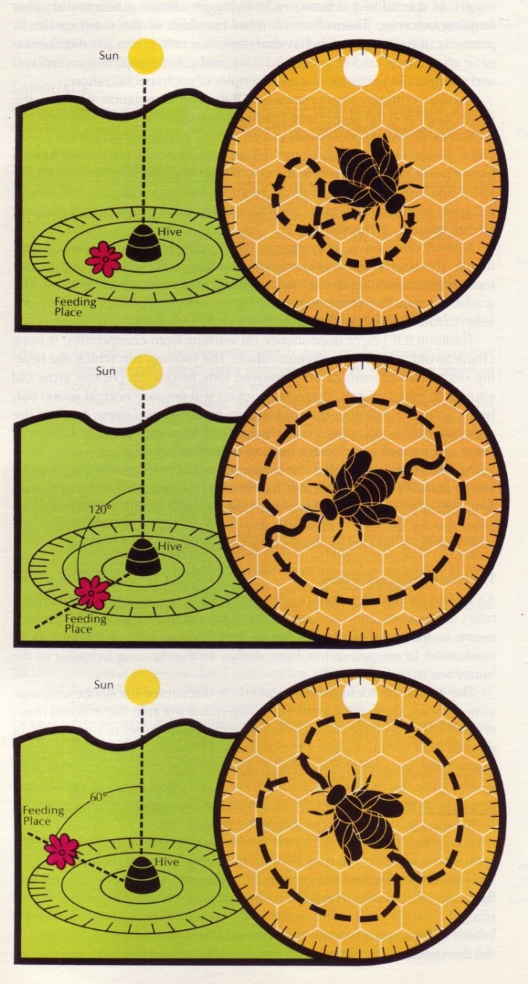 [biology622]
