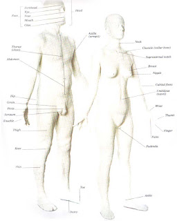 BODY FEATURES