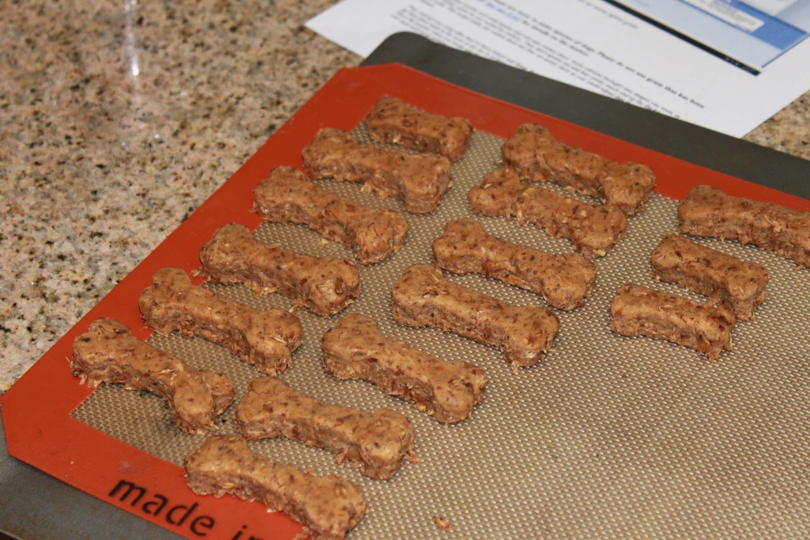 kaitlin on parade homemade barley dog treats