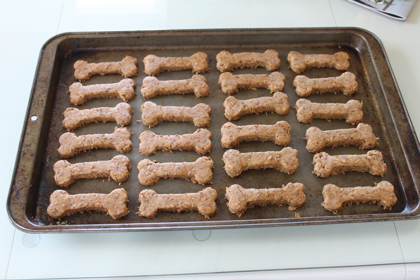kaitlin on parade homemade barley dog treats