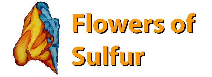 Flowers of Sulfur