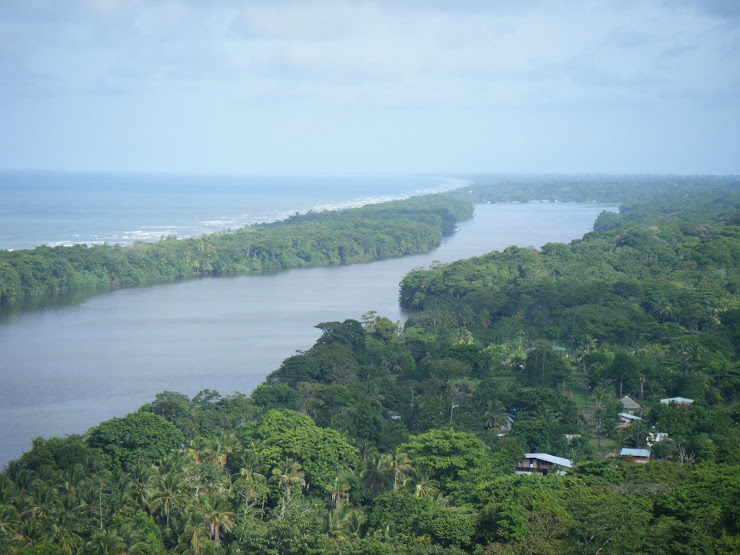 EL TORTUGUERO