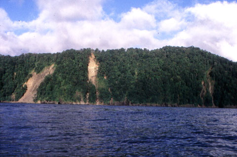 Llanuras y Serranías del Relieve Colombiano Mundo Hispánico™