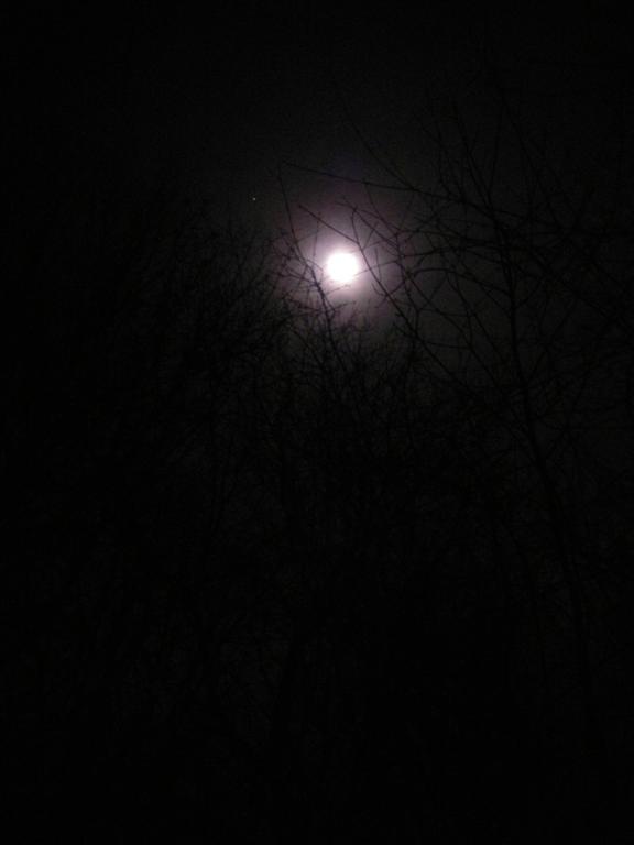 [wolf+moon+005+(Large).jpg]