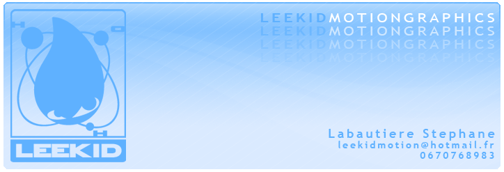 Leekid Motion Graphics