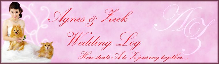 Agnes & Zeek Wedding Log