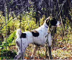 hunting bird vermont upland