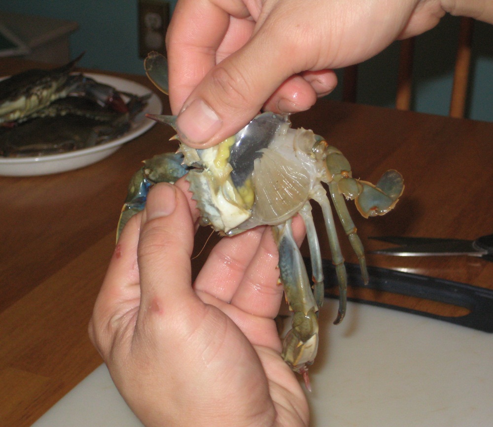 How To Prep & Cook Soft-Shell Crabs - Lauren Conrad