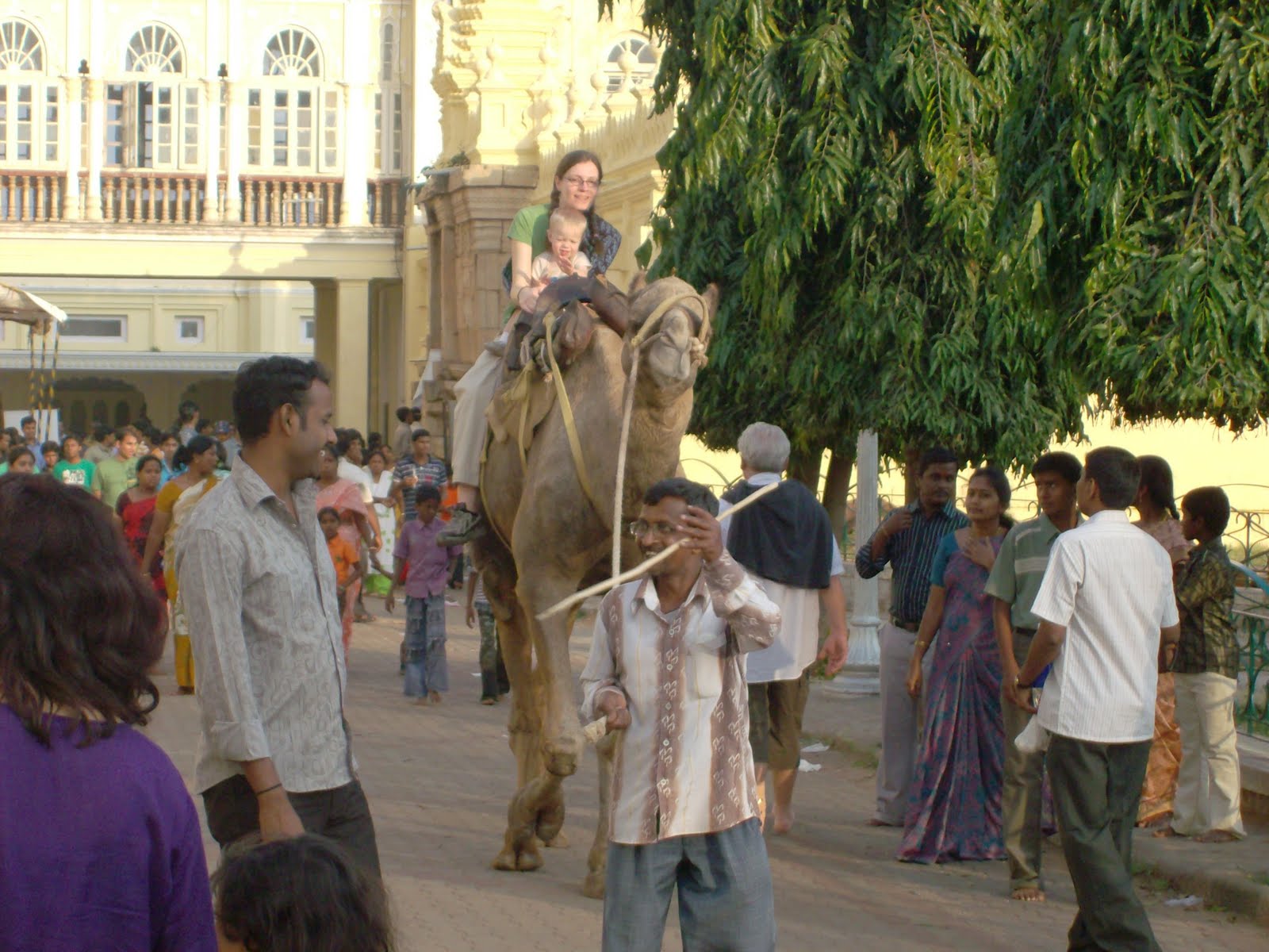 Chadwicks' Picture Place Mysore Palace Elephant, Camel and Pony Rides