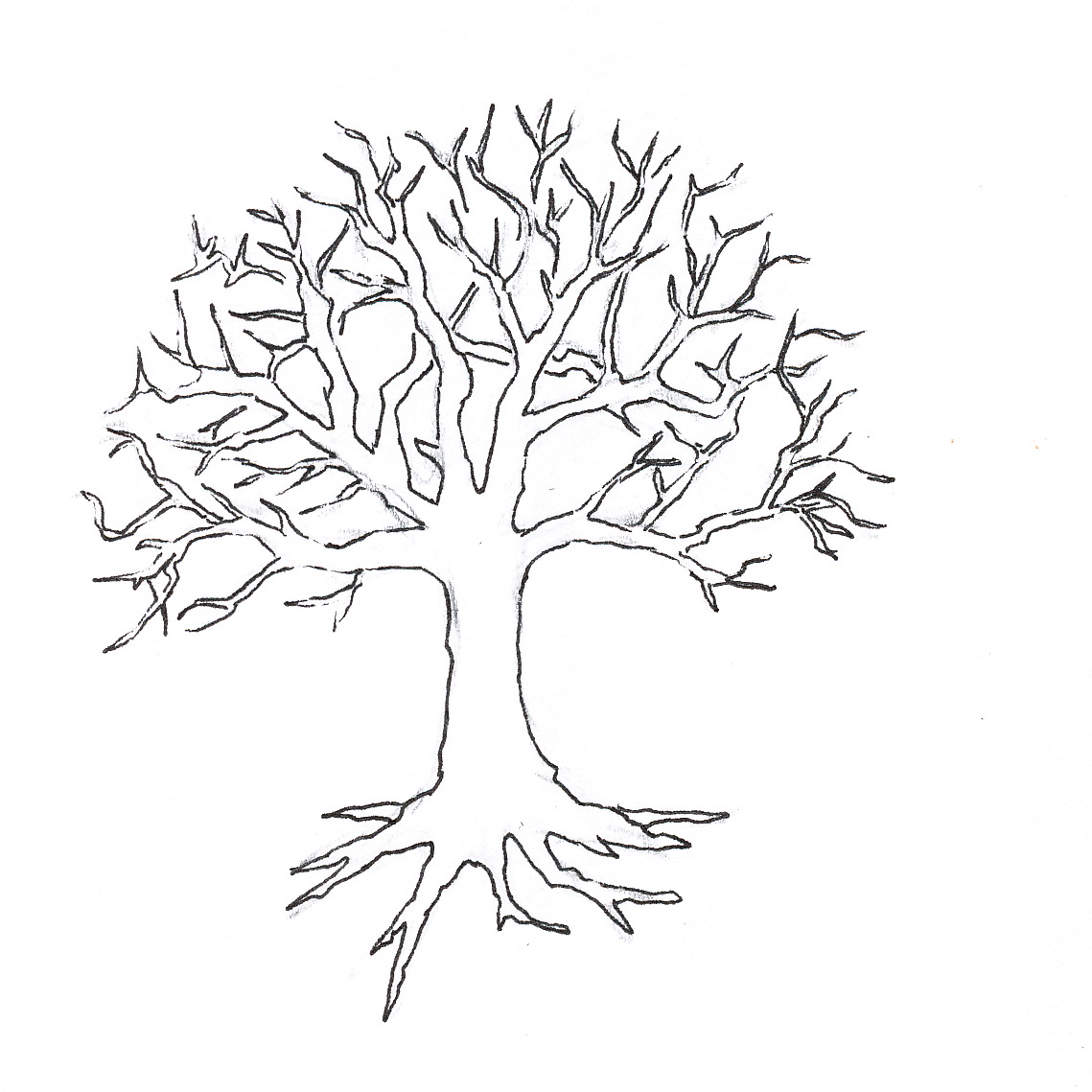 In GRAPHIC Sanity Winter Tree Summer Tree In GRAPHIC Sanity Winter Tree Summer Tree