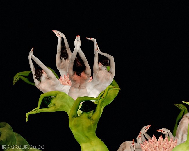 Human Flower Project OddFuttos, When The Photos Speak: Amazing ART: Flowers Formed by Human ...