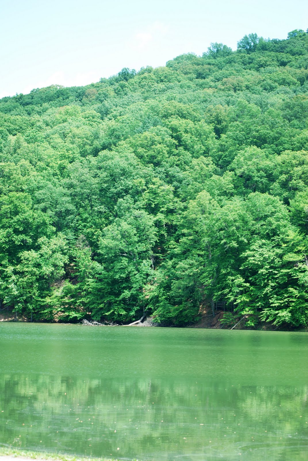 A Picture is Worth a Thousand Words Forests around Cincinnati, Ohio