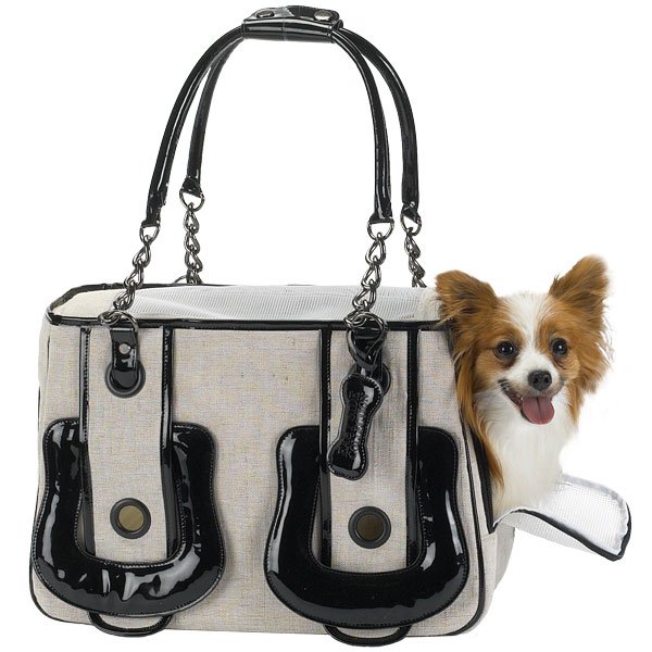 Peonia Designs: Pet Carriers (New and Old)
