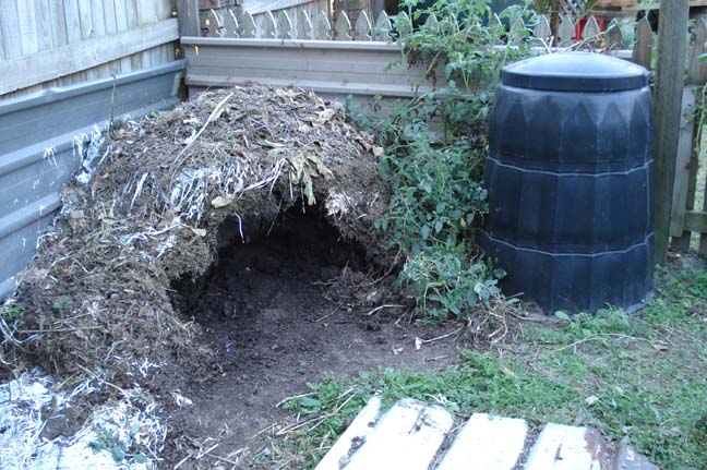 [11compostheap.jpg]