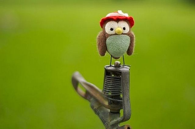 [crochet_creations_41.jpg]