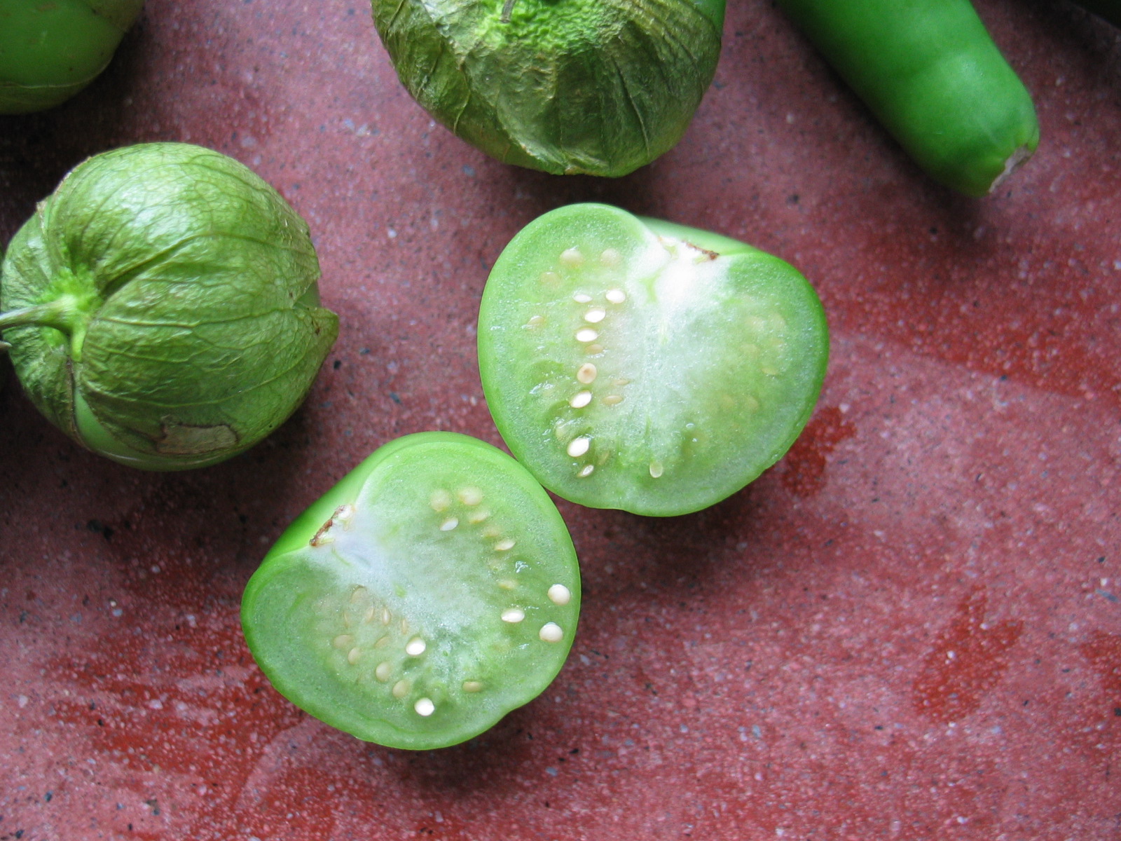 Plant with green balls