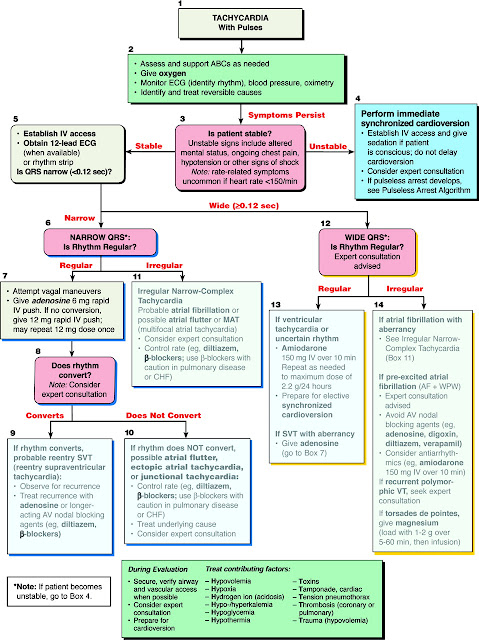 Treating Tachycardia | Paramedicine 101