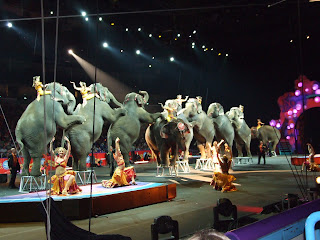 elephant chorus line