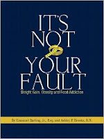 its not your fault cover