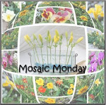 Mosaic Monday