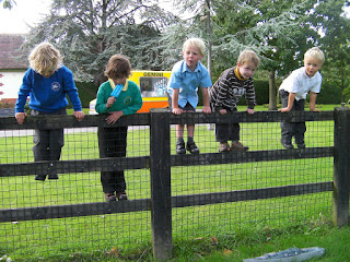 the 5 musketeers sitting on the fence