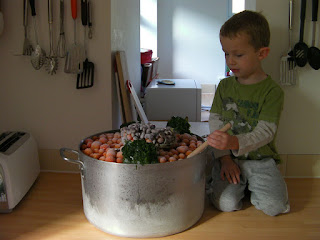 cauldron of frozen tomatoes, making tomato sauce