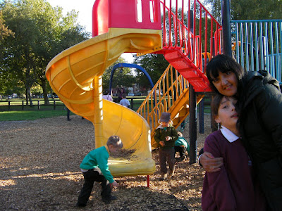 metal frame climbing recreation play area