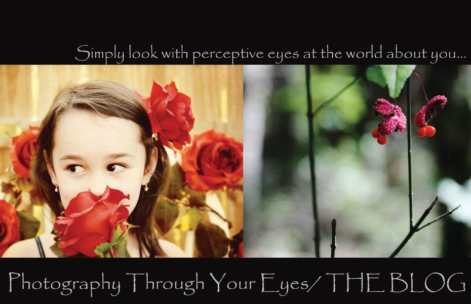 Photography Through Your Eyes