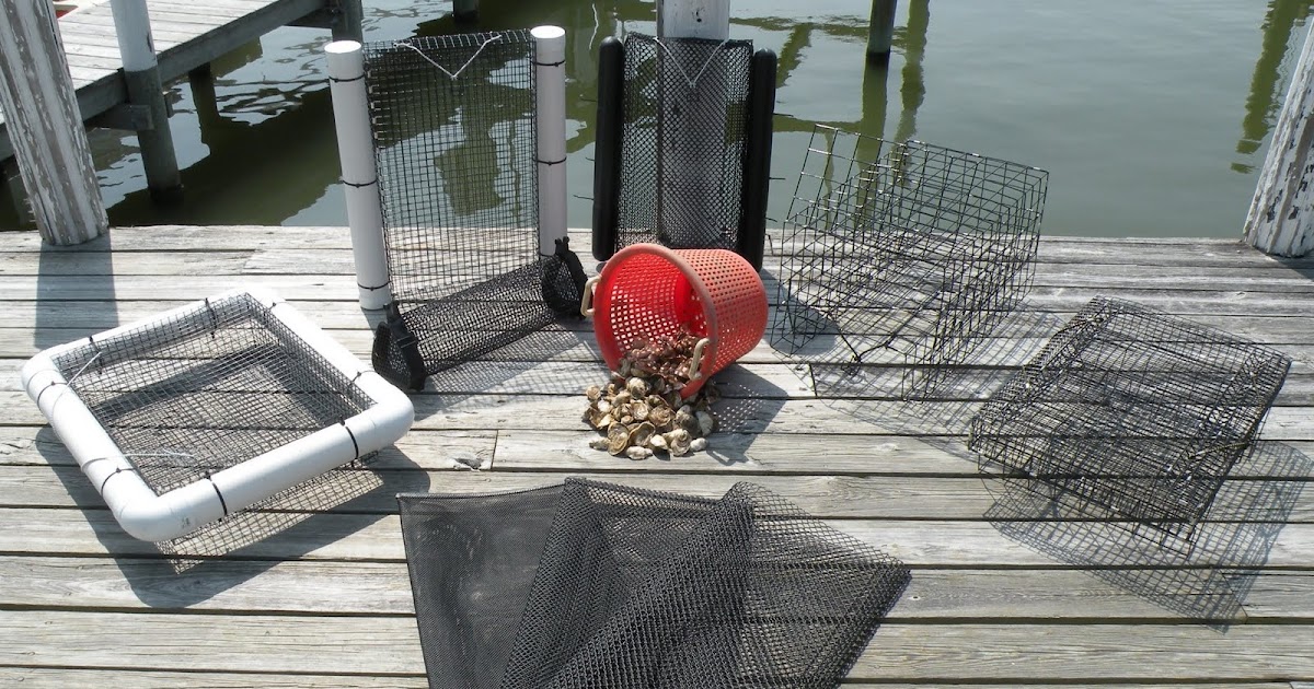 THE OYSTER IS OUR WORLD OYSTER GARDENING SUPPLIES