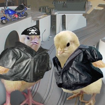 KRIPPLEDWARRIOR: BIKER CHICKS